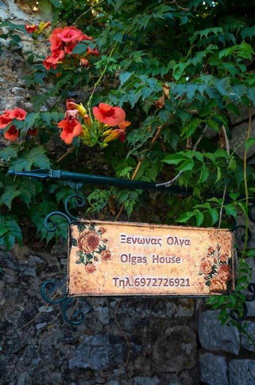 Vonkajšia záhrada v ubytovaní Olga's House