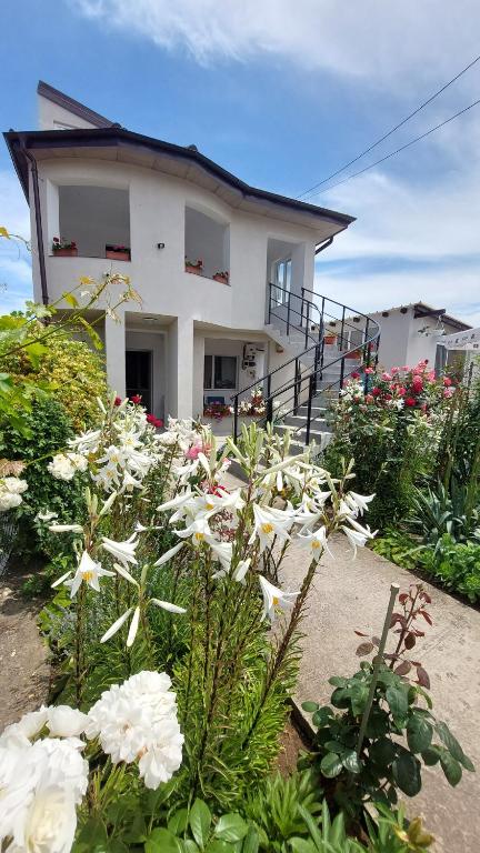 una casa con fiori bianchi di fronte di 3M Vila a 2 Mai