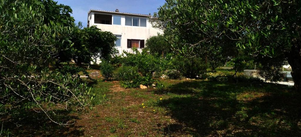 a house in the middle of a yard with trees at Apartment Prvic Sepurine II in Prvić Šepurine