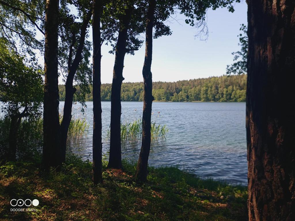 Příroda nedaleko kempu