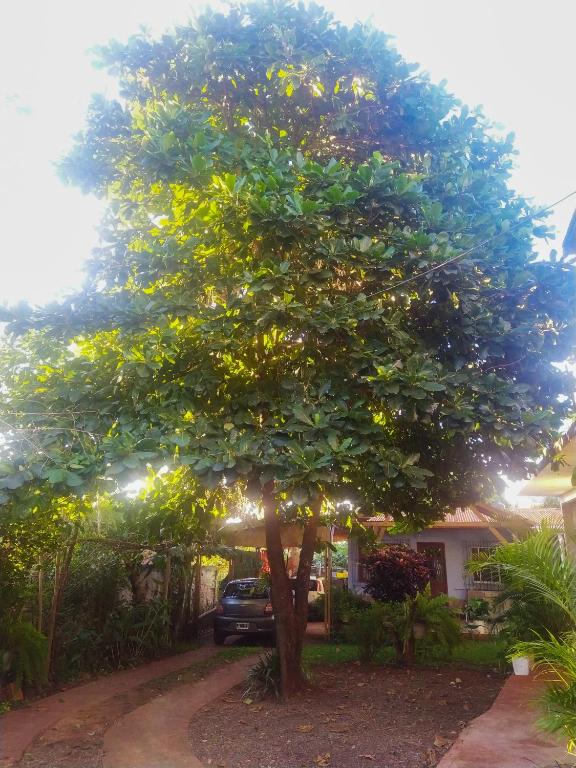 Apartamento com Varanda