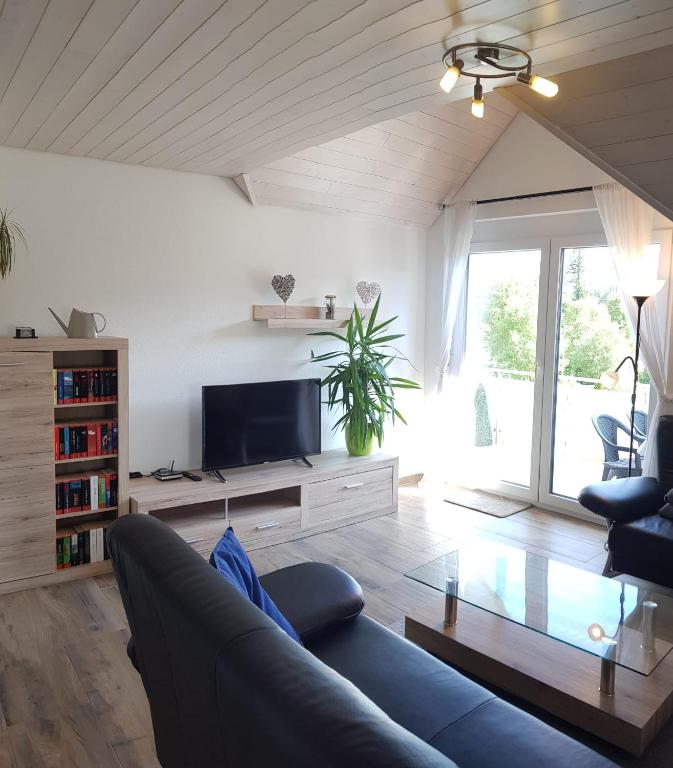 a living room with a couch and a tv at Ferienwohnung Seewaldstraße in Schluchsee