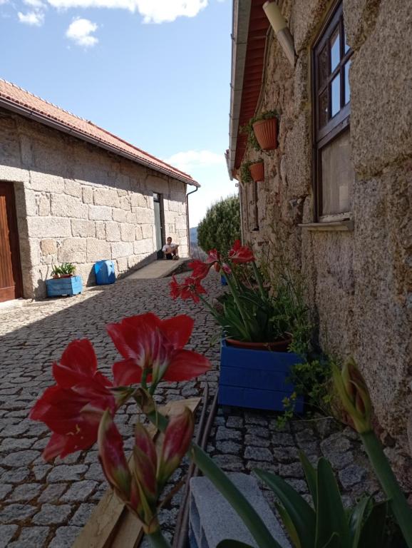 Fotografie z fotogalerie ubytování Quinta Do Quetrofe v destinaci Guarda