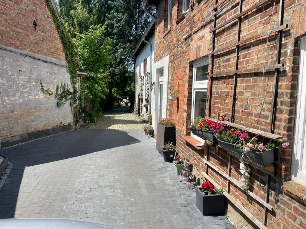 a brick alley with potted plants on the side of a building at Schlossperle in Klütz