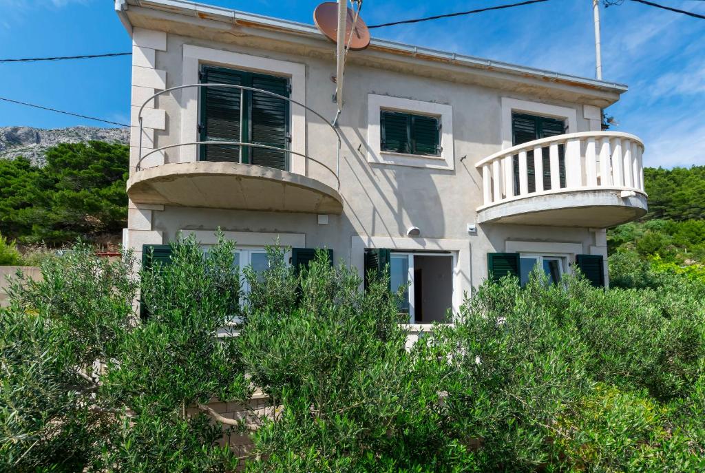 Zahrada ubytování Apartments Djani
