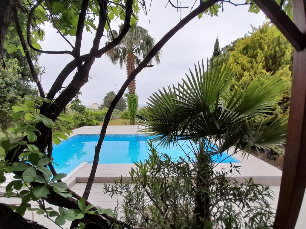 Blick auf den Pool durch die Bäume in der Unterkunft Villa suzi in Kusadası