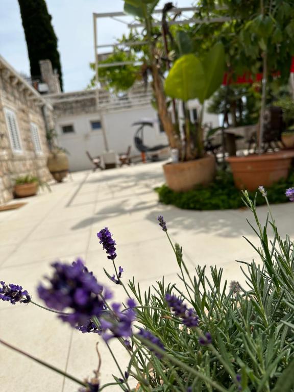 Apartments Lomara - 19