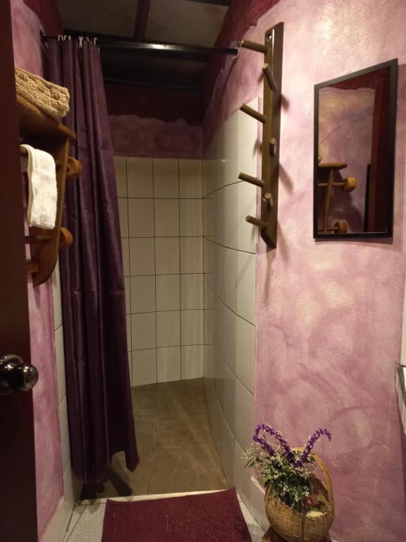 a bathroom with pink walls and a shower with a plant at Biosfera Lodge tipi para 3 personas in Oxapampa