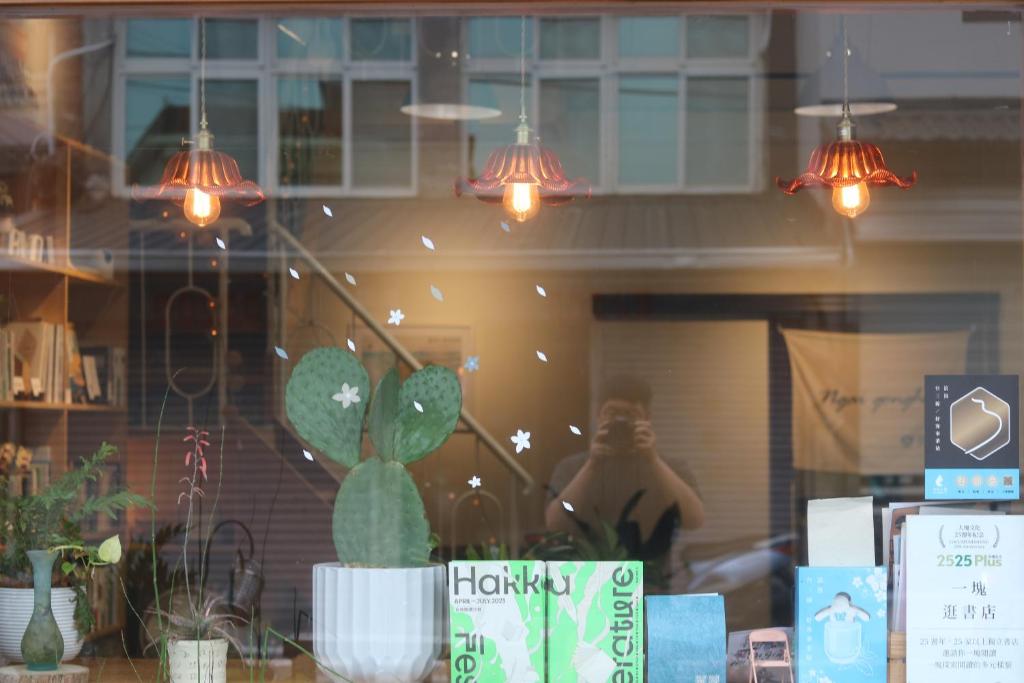 a man taking a picture in a window with a cactus at 微光書旅-輕旅 in Tongluo
