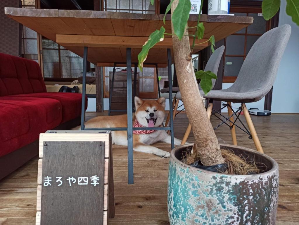 een hond die onder een tafel naast een tafel zit bij Maroyashiki - Vacation STAY 70236v in Ōzu
