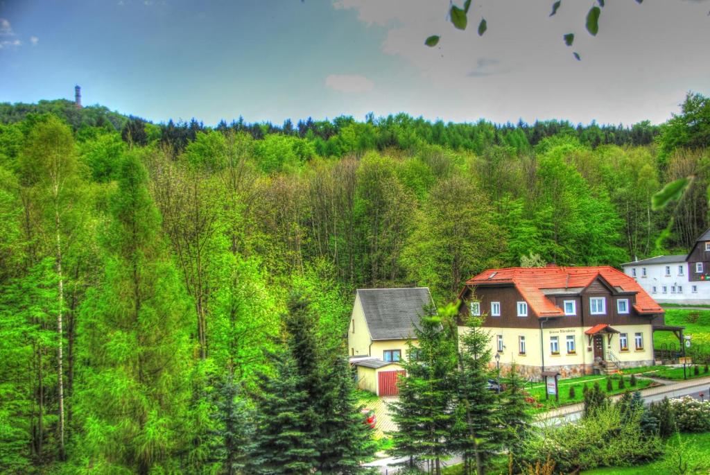 een huis midden op een heuvel met bomen bij Pension & Café Abendröte in Kurort Oybin