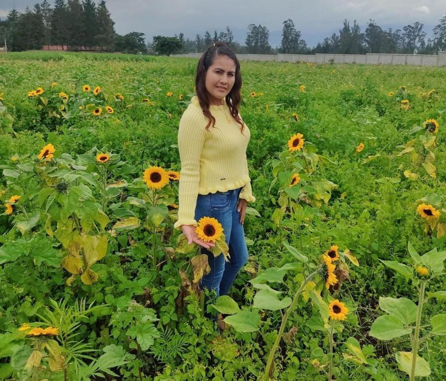 Hosté ubytování Hospedaje El Girasol TABABELA