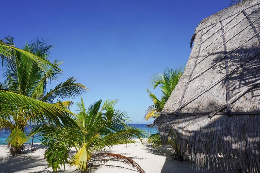 Le Pirate Island - Adults Only - 13