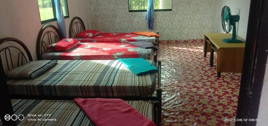 a room with three beds and a table and a desk at Mulu Helena Homestay in Mulu