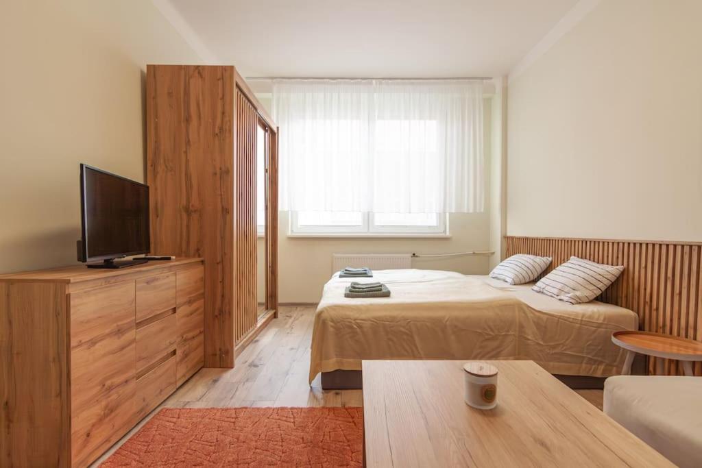 a bedroom with a bed and a television in it at Vysoká Apartman EMF/STP in Bratislava