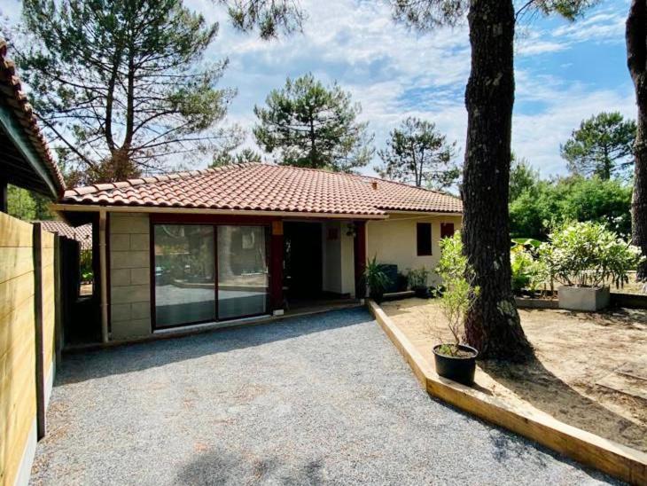 une petite maison avec un arbre en face dans l'établissement Maison proche Golf & Plages, à Moliets-et-Maa