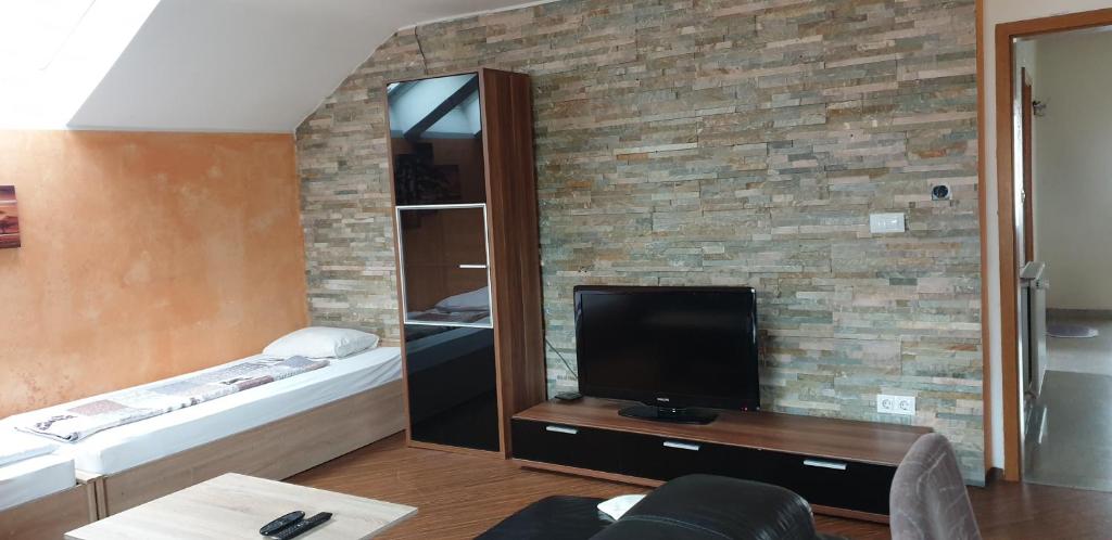 TV a/nebo společenská místnost v ubytování Hiša Bizjak