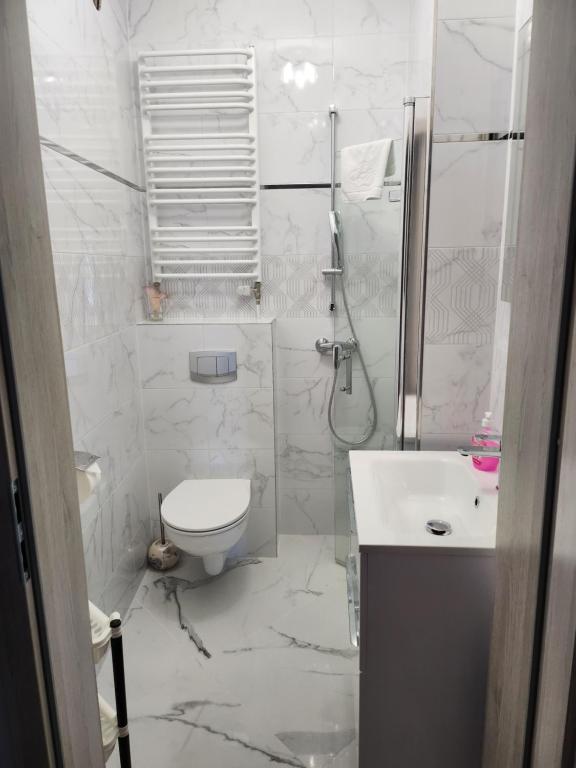 Koupelna v ubytování Apartament Piłsudskiego