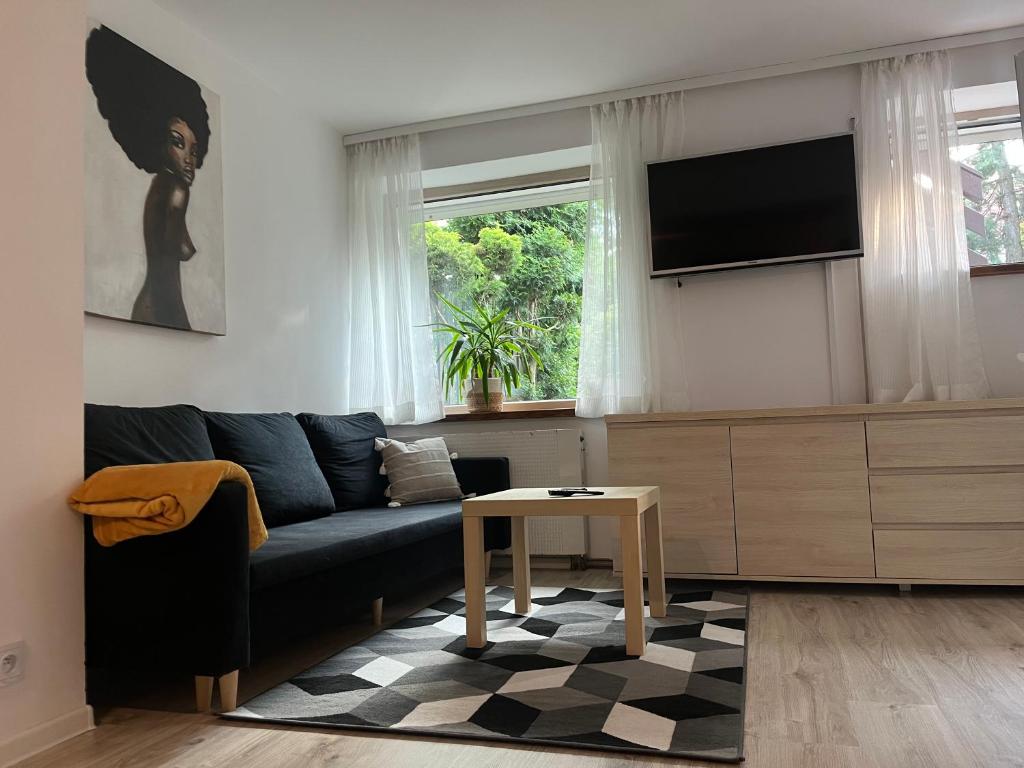 sala de estar con sofá y TV en Apartament Soplicy 17, en Toruń