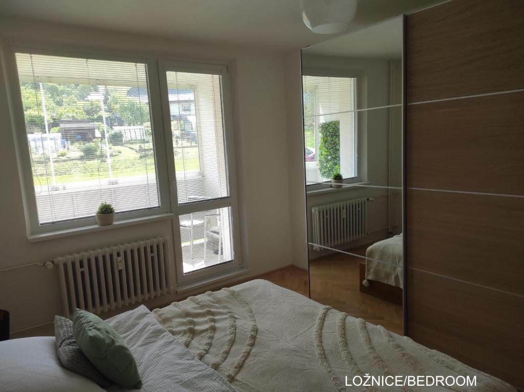 a bedroom with a bed and two windows and a mirror at Dobré místo in Loučná nad Desnou