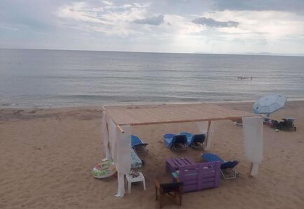 Príroda v okolí apartmánu