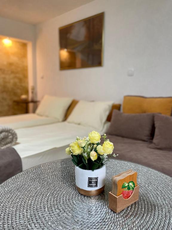 Apartmani Stanković Sokobanja - 一居室公寓