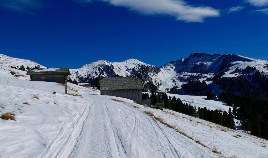 a snow covered mountain with a building on a snow covered road at Appartamento El Feudo in Tesero