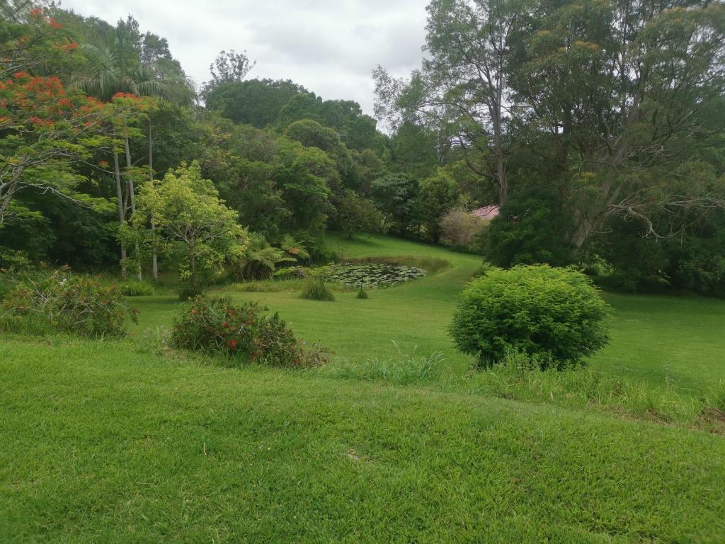 um jardim verde com árvores e um campo de relva em Rural Escape em Boambee