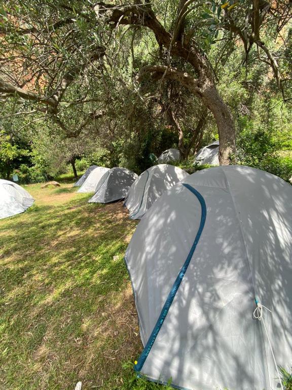 Fotografie z fotogalerie ubytování Gjipe eco campground v destinaci Vuno