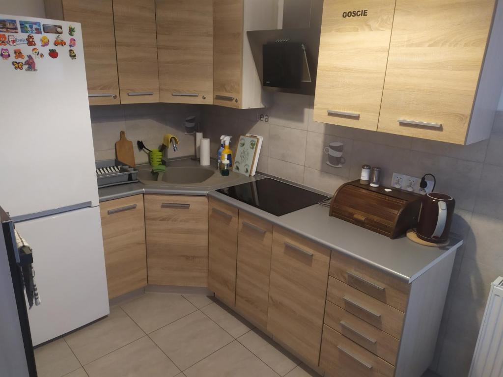 Kuchyň nebo kuchyňský kout v ubytování U Mateusza