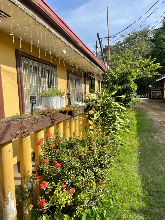 a yellow house with a fence and flowers at Maria Kulafu Studio Apartment Kinamaligan- Beside Eglin Gas FREE Wifi in Masbate