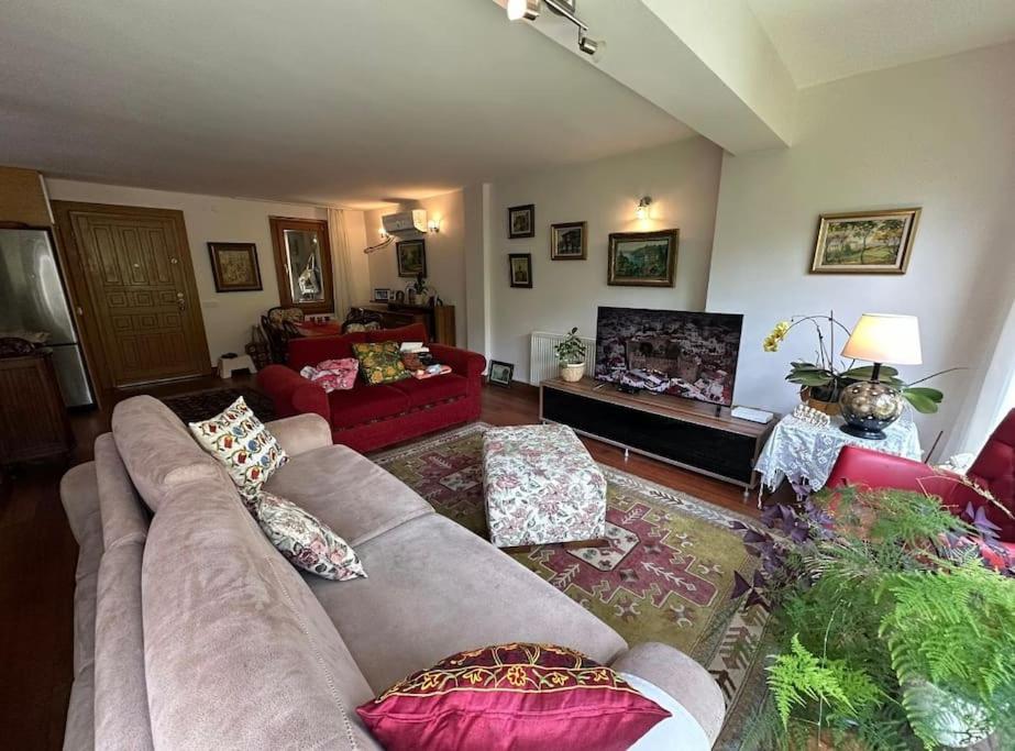 Villa with Jacuzzi and Garden Zekeriyaköy