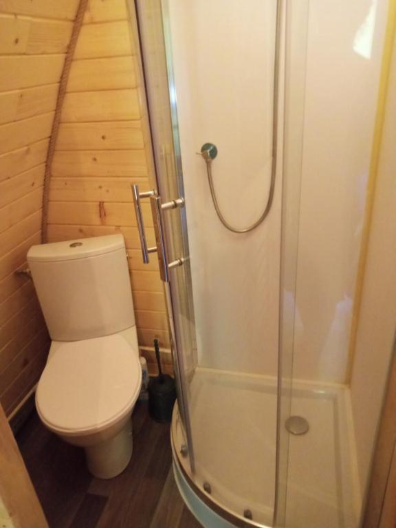 Kúpeľňa v ubytovaní Domek Wilcza Wola 1