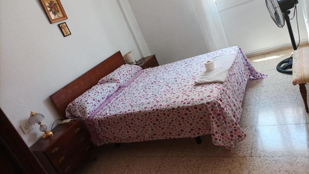 Alquiler Alicante 02, Alicante – Precios actualizados 2023
