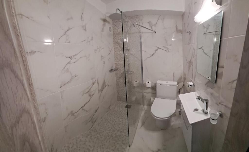 e bagno con doccia, servizi igienici e lavandino. di Xylokastro cozy apartment a Xylokastron