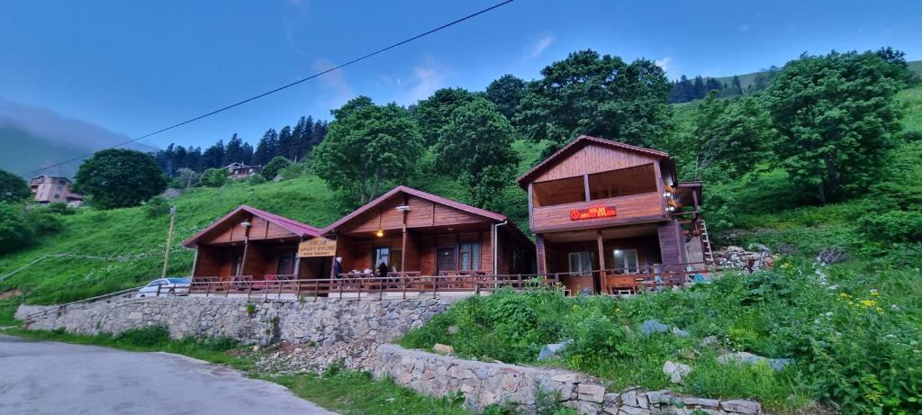 a couple of wooden houses on a hill at Aslan Dağ Evleri in Uzungöl