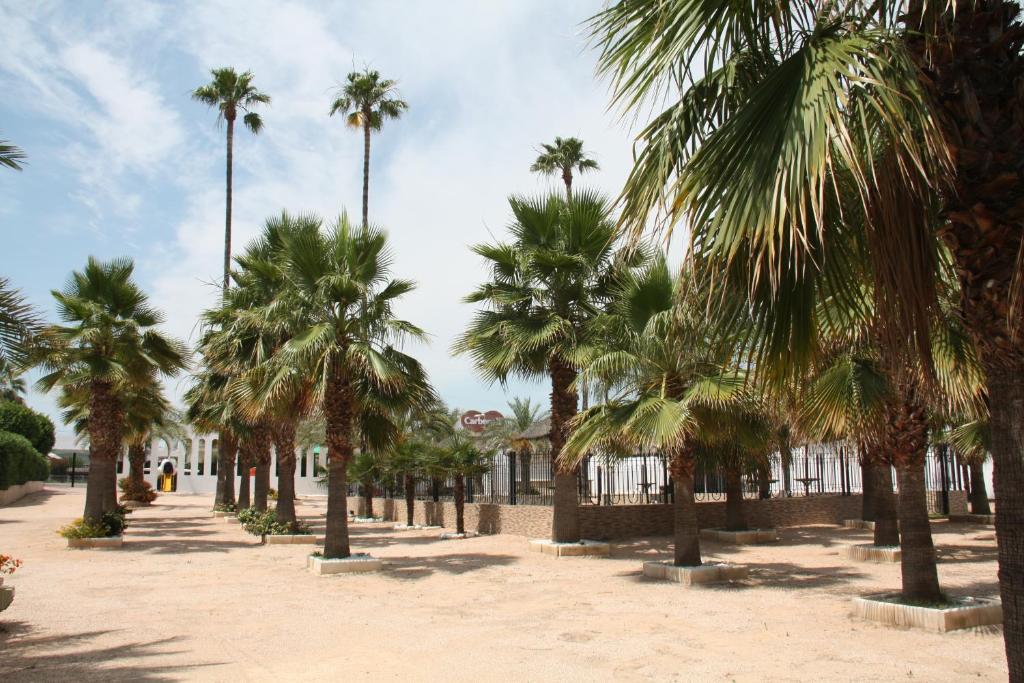 Hacienda Guadalquivir - Resim 40