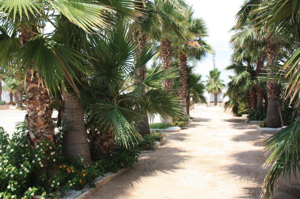 Zahrada ubytování Hacienda Guadalquivir