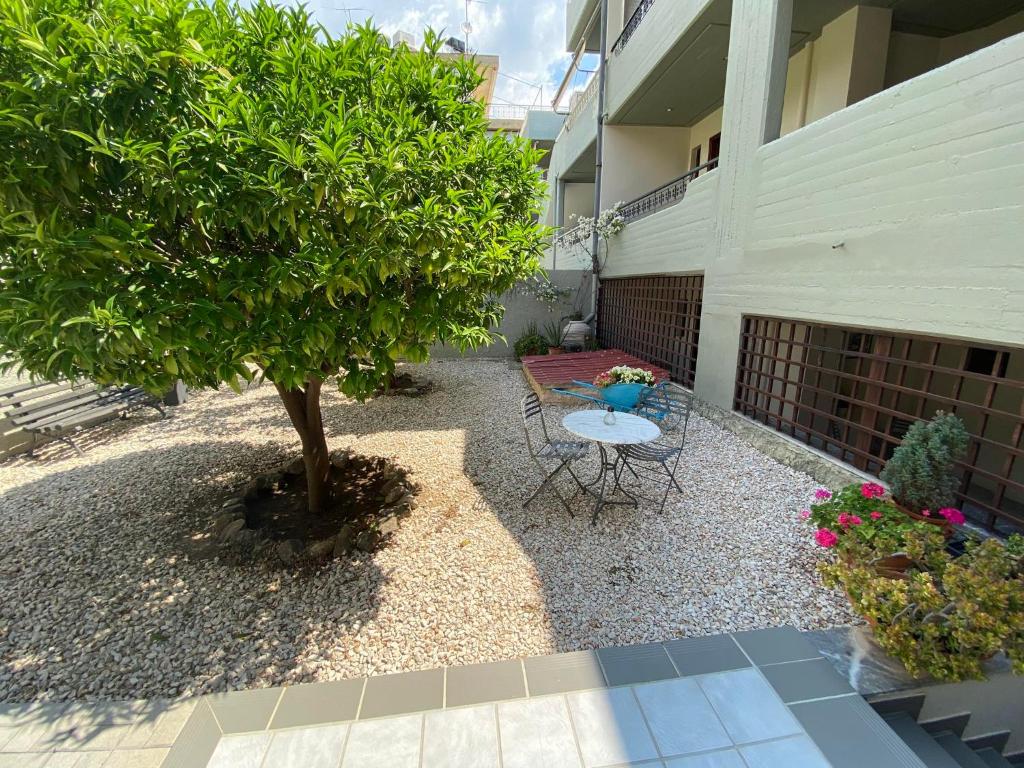 Zahrada ubytování Hotel Pavlos - Studios