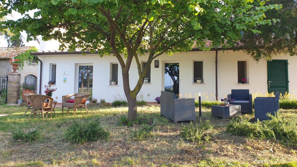 En have udenfor Agriturismo Podere Il Fitto