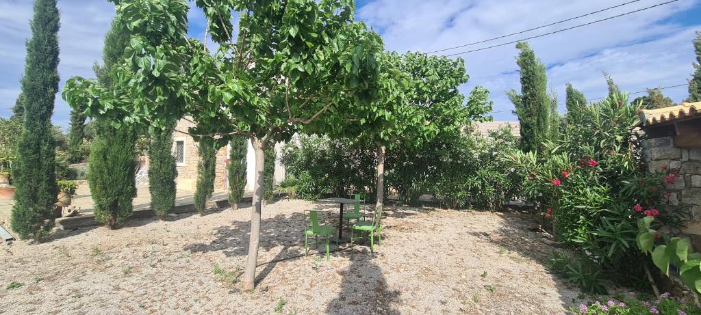 a garden with a bunch of trees and a building at KATKA Karavas in Kythira