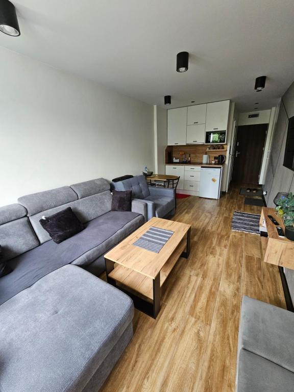 a living room with a couch and a table at Emilia mały apartament Ustroń in Ustroń