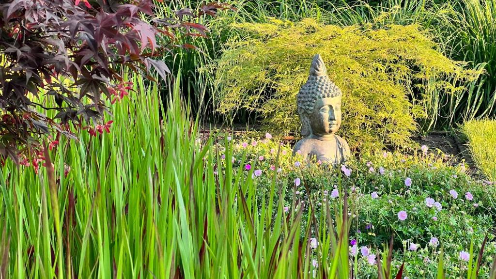 Zahrada ubytování Ikigai B&B - wellness