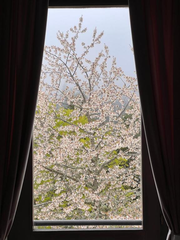 Fotografie z fotogalerie ubytování Monterovere v destinaci Albergo Monte Rovere