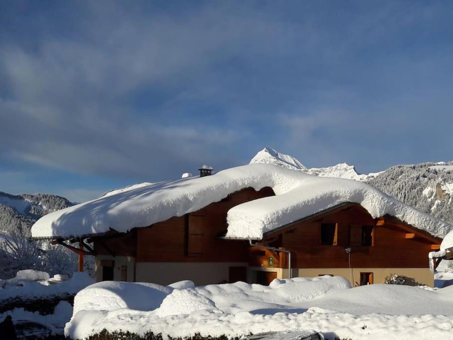 Chalet Le Wapiti, aux pieds des pistes, à 200m du village през зимата