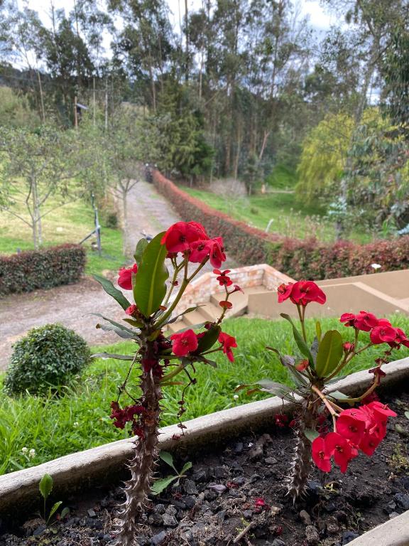 Zahrada ubytování Cabaña de Lujo en la Naturaleza 10 min del Centro