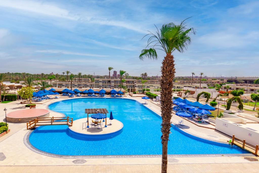 una piscina en un complejo con una palmera en Pyramids Park Resort Cairo en El Cairo