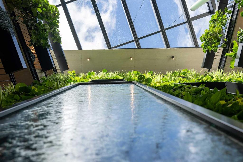 Zahrada ubytování Lifesteil Aparthotel