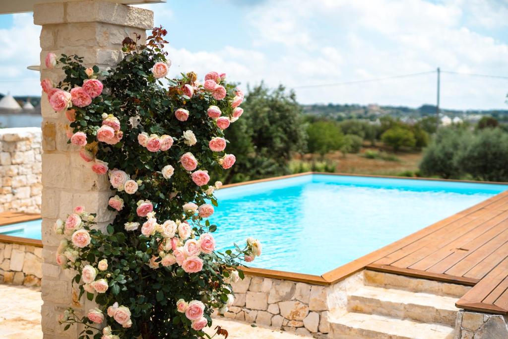 The swimming pool at or close to Trulli Audendum