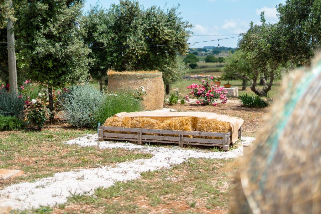 A garden outside Trulli Audendum